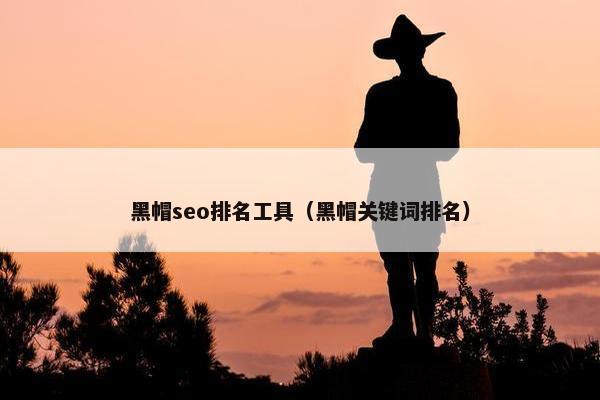 黑帽seo排名工具（黑帽关键词排名）