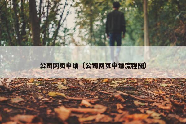 公司网页申请（公司网页申请流程图）