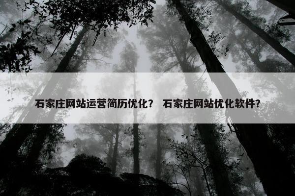 石家庄网站运营简历优化？ 石家庄网站优化软件？