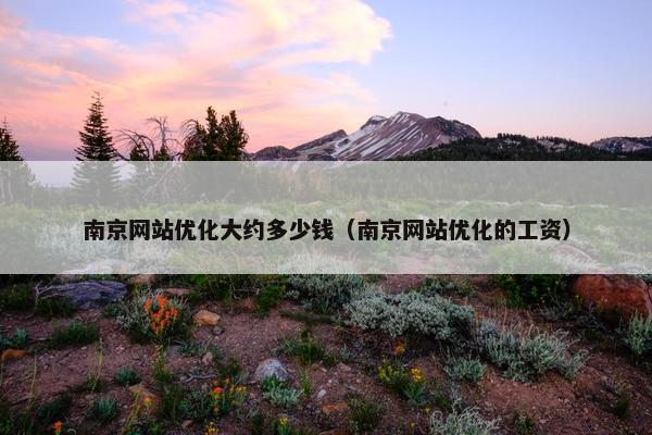 南京网站优化大约多少钱（南京网站优化的工资）