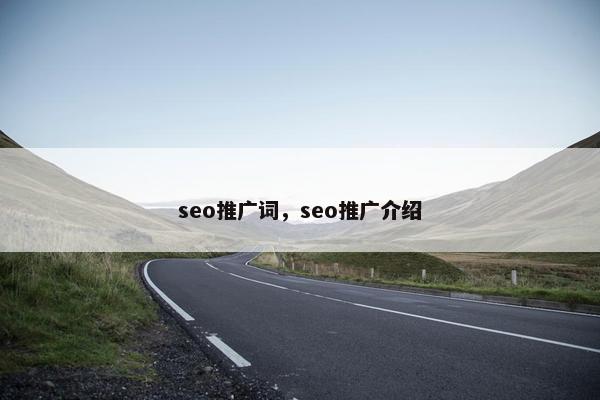 seo推广词，seo推广介绍