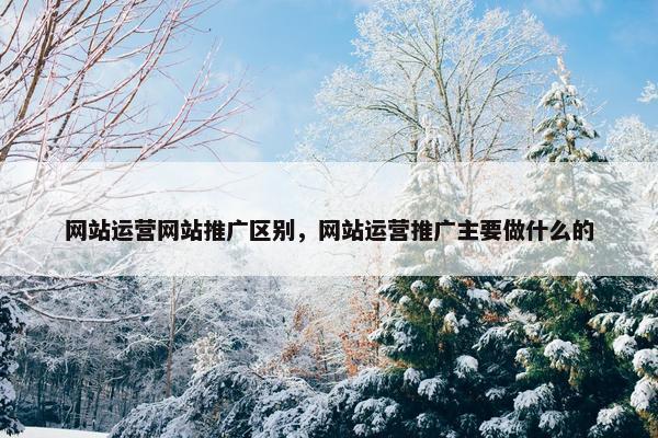 网站运营网站推广区别，网站运营推广主要做什么的