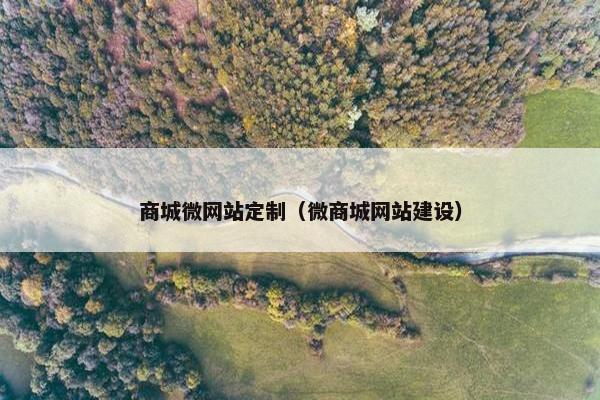 商城微网站定制（微商城网站建设）