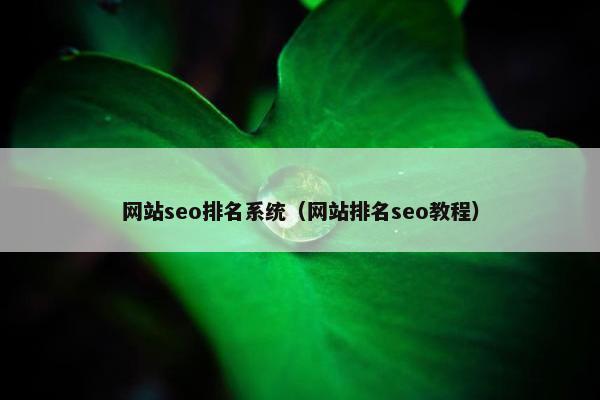 网站seo排名系统（网站排名seo教程）