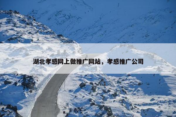 湖北孝感网上做推广网站，孝感推广公司