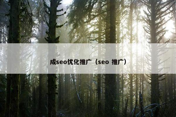 成seo优化推广（seo 推广）