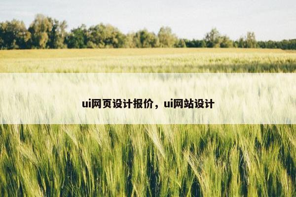 ui网页设计报价，ui网站设计