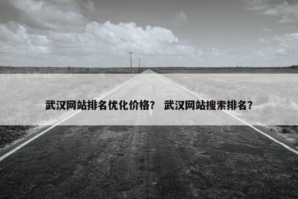 武汉网站排名优化价格？ 武汉网站搜索排名？