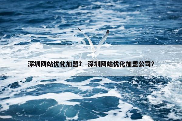 深圳网站优化加盟？ 深圳网站优化加盟公司？
