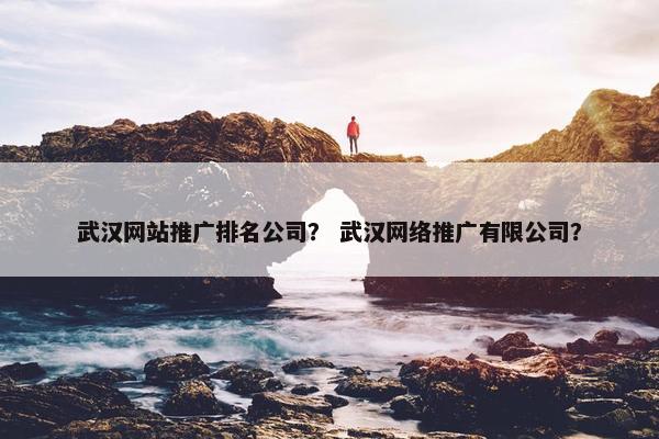 武汉网站推广排名公司？ 武汉网络推广有限公司？