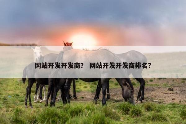 网站开发开发商？ 网站开发开发商排名？