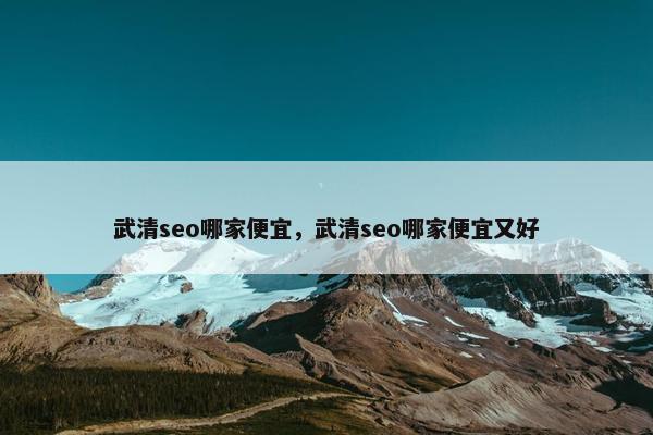 武清seo哪家便宜，武清seo哪家便宜又好