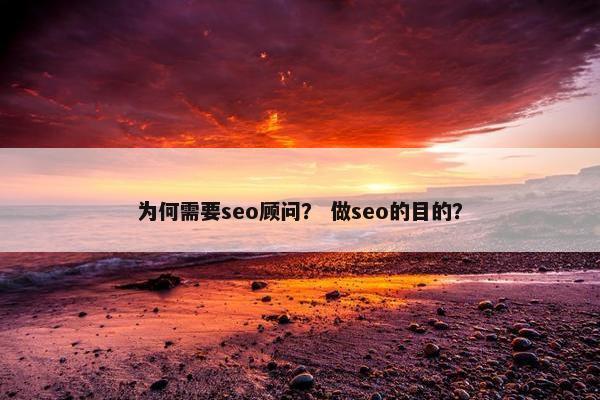 为何需要seo顾问？ 做seo的目的？