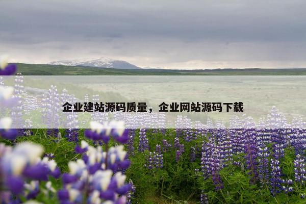 企业建站源码质量，企业网站源码下载