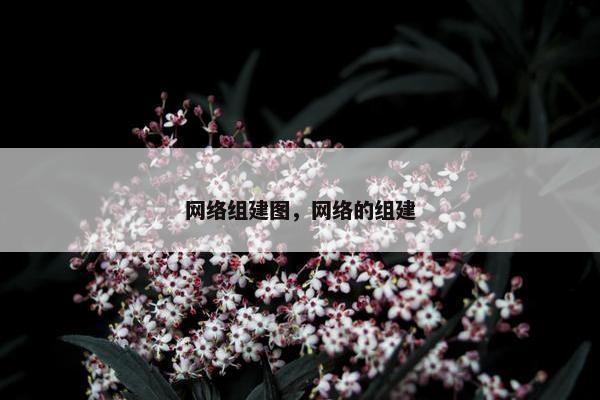 网络组建图，网络的组建