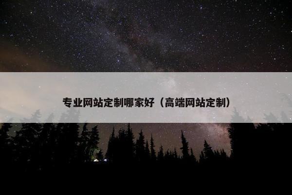 专业网站定制哪家好（高端网站定制）