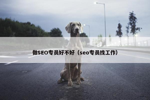做SEO专员好不好（seo专员找工作）