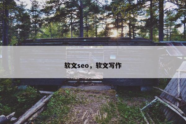软文seo，软文写作