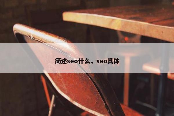 简述seo什么，seo具体