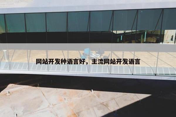 网站开发种语言好，主流网站开发语言