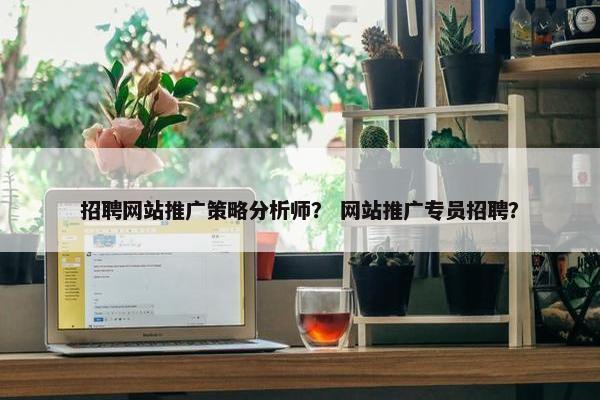 招聘网站推广策略分析师？ 网站推广专员招聘？