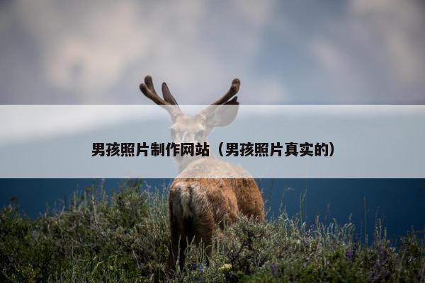 男孩照片制作网站（男孩照片真实的）