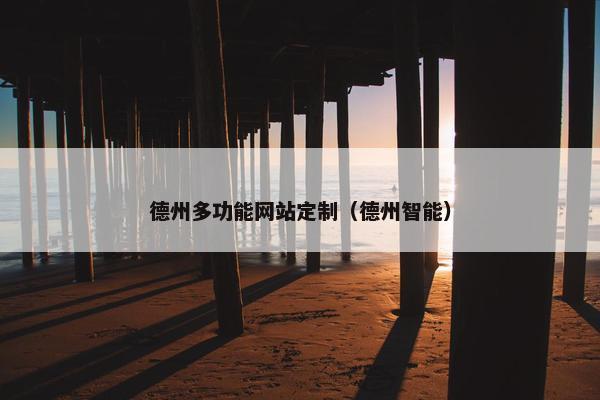 德州多功能网站定制（德州智能）