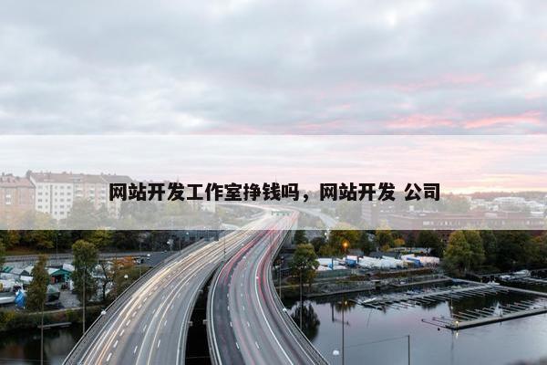 网站开发工作室挣钱吗，网站开发 公司