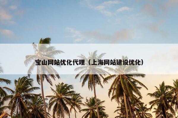 宝山网站优化代理（上海网站建设优化）