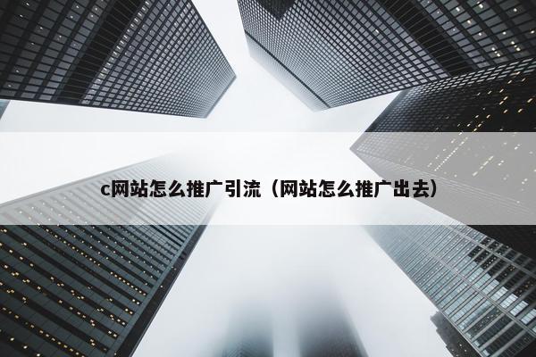 c网站怎么推广引流（网站怎么推广出去）
