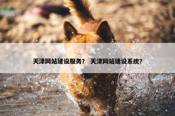 天津网站建设服务？ 天津网站建设系统？