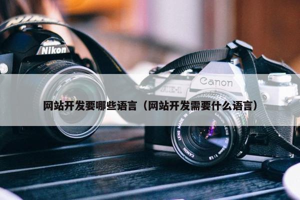 网站开发要哪些语言（网站开发需要什么语言）