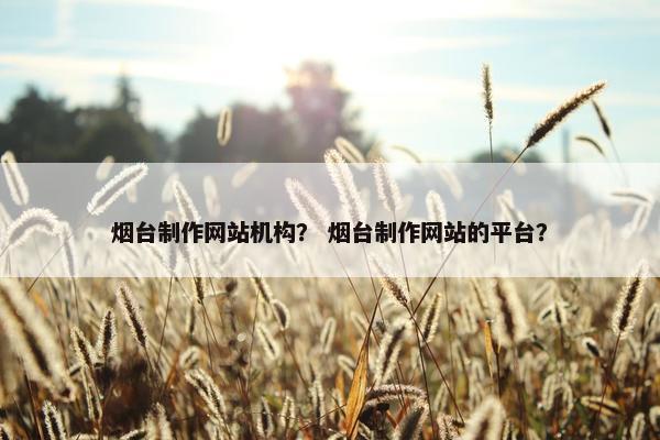 烟台制作网站机构？ 烟台制作网站的平台？