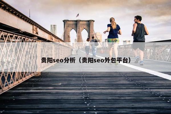 贵阳seo分析（贵阳seo外包平台）