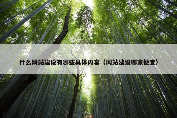 什么网站建设有哪些具体内容（网站建设哪家便宜）