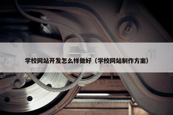 学校网站开发怎么样做好（学校网站制作方案）