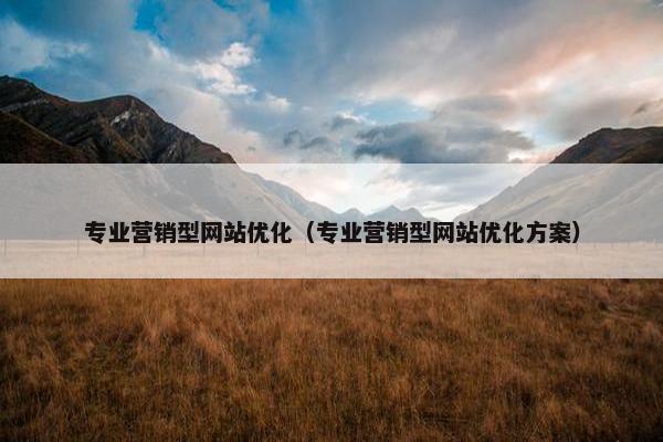 专业营销型网站优化（专业营销型网站优化方案）