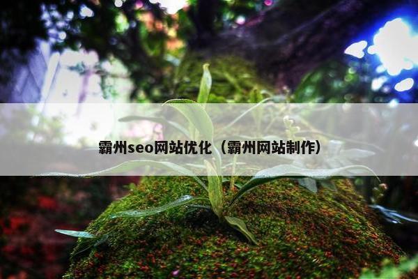 霸州seo网站优化（霸州网站制作）