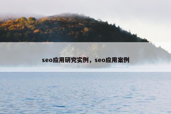 seo应用研究实例，seo应用案例
