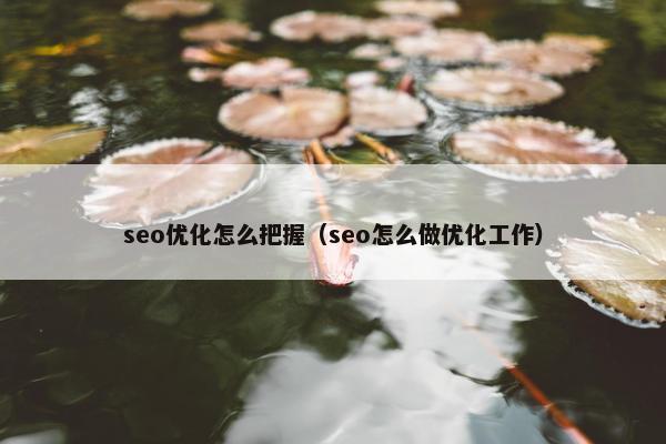 seo优化怎么把握（seo怎么做优化工作）
