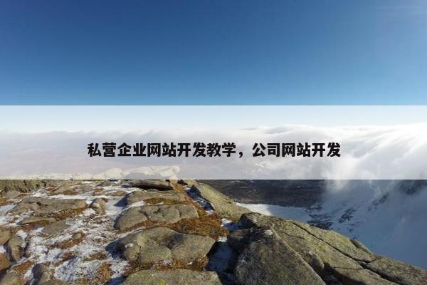 私营企业网站开发教学，公司网站开发