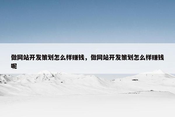 做网站开发策划怎么样赚钱，做网站开发策划怎么样赚钱呢