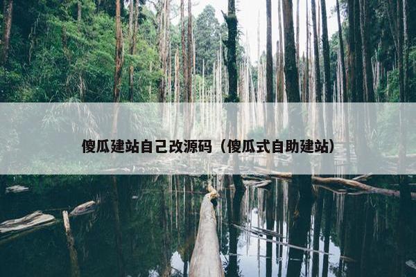 傻瓜建站自己改源码（傻瓜式自助建站）