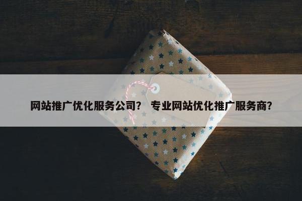 网站推广优化服务公司？ 专业网站优化推广服务商？