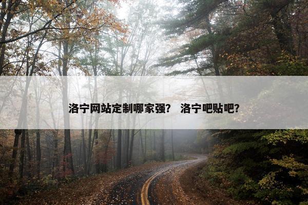 洛宁网站定制哪家强？ 洛宁吧贴吧？