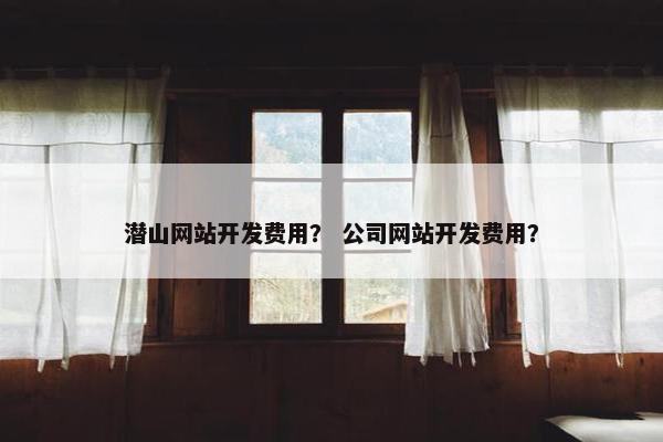 潜山网站开发费用？ 公司网站开发费用？