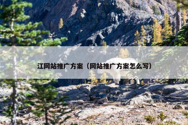 江网站推广方案（网站推广方案怎么写）