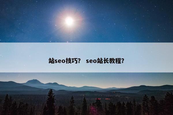 站seo技巧？ seo站长教程？