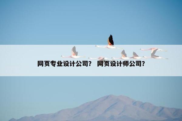 网页专业设计公司？ 网页设计师公司？