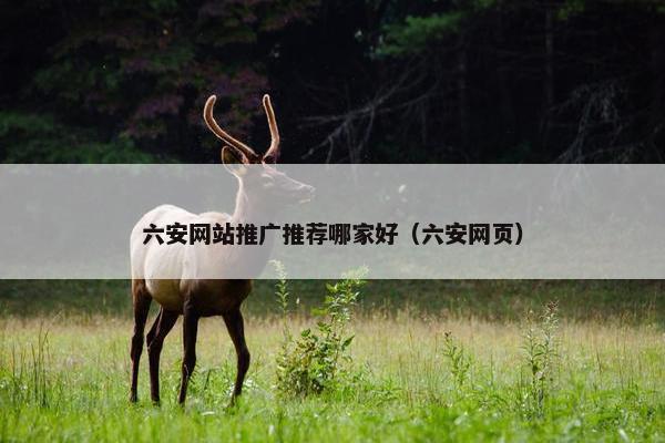 六安网站推广推荐哪家好（六安网页）